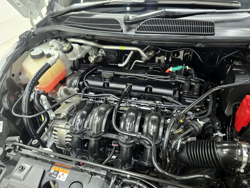 Photo 20 of 20