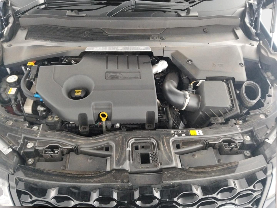 Photo 14 of 24