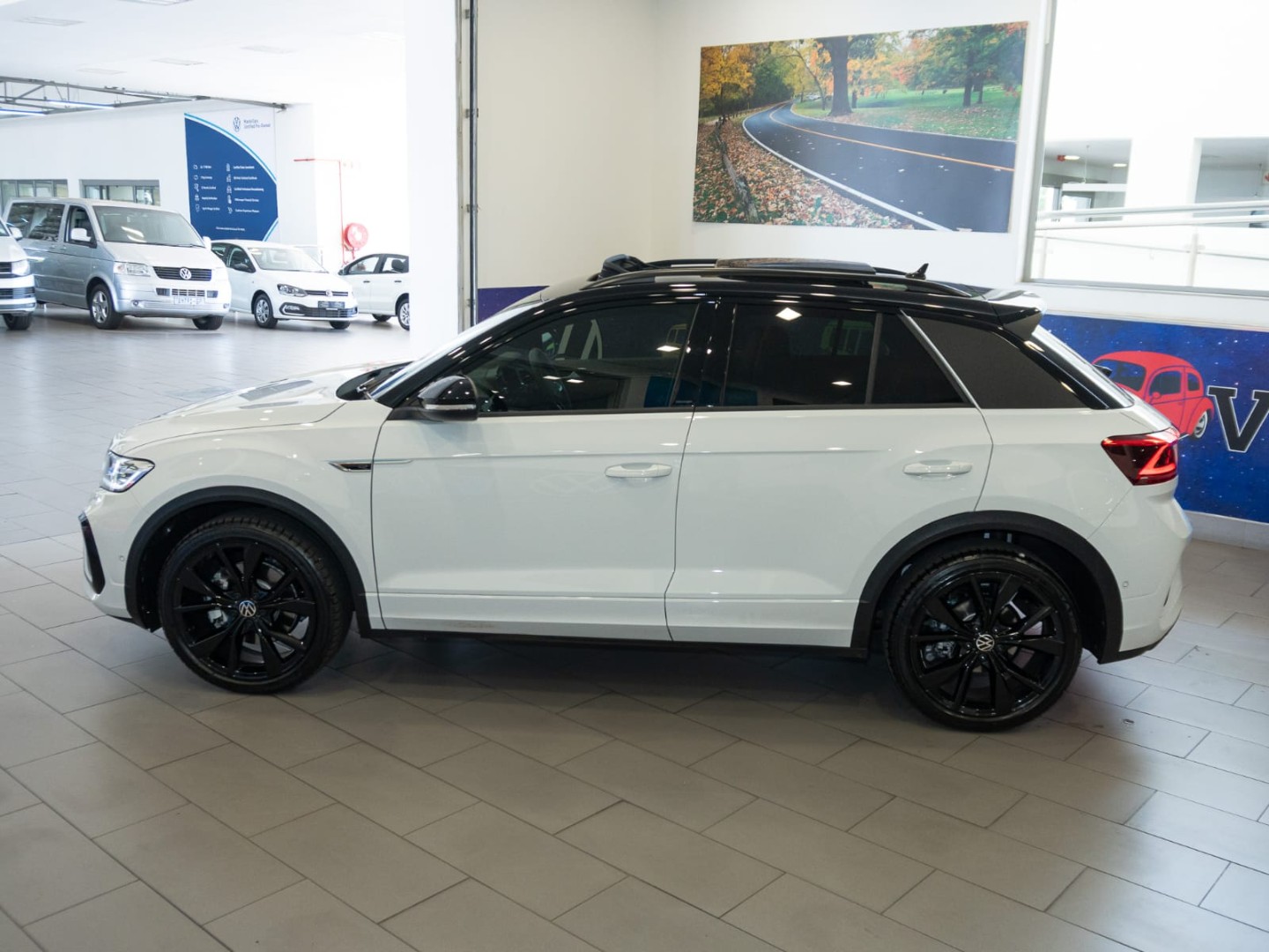 Photo 5 of 31