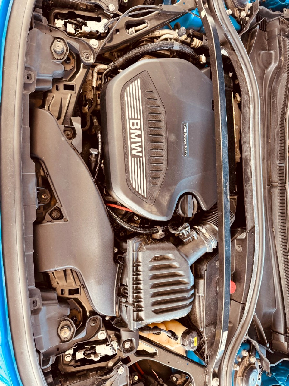 Photo 19 of 19