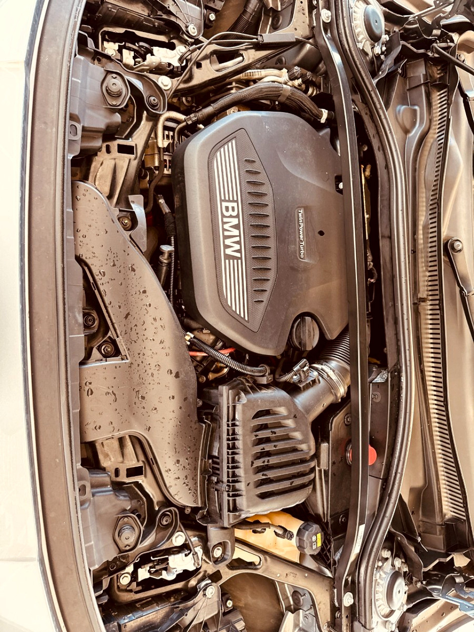 Photo 20 of 20