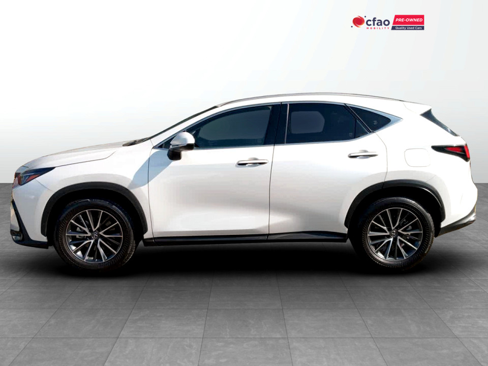 Photo 13 of 13