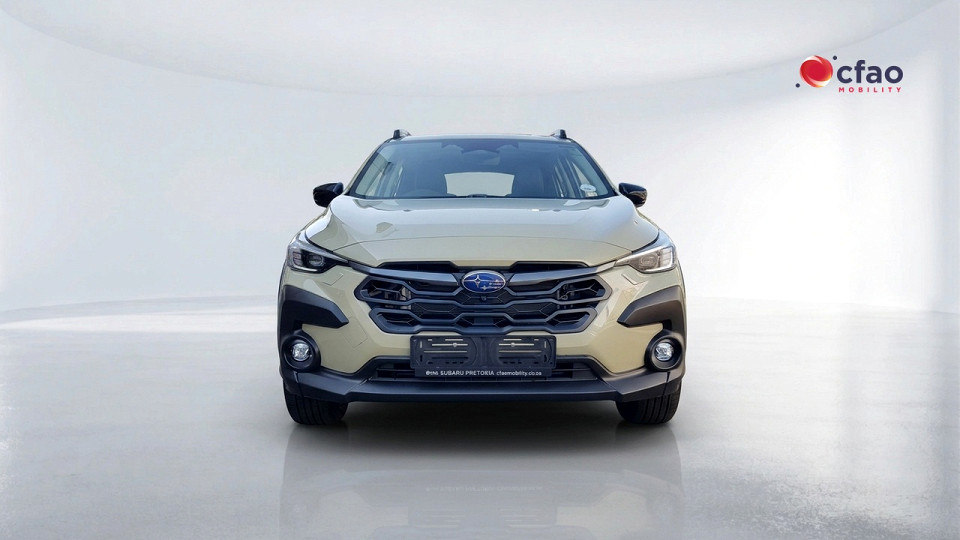 Photo 4 of 19