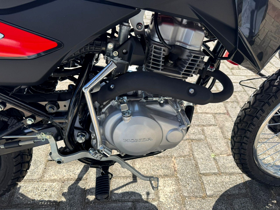 Photo 3 of 12