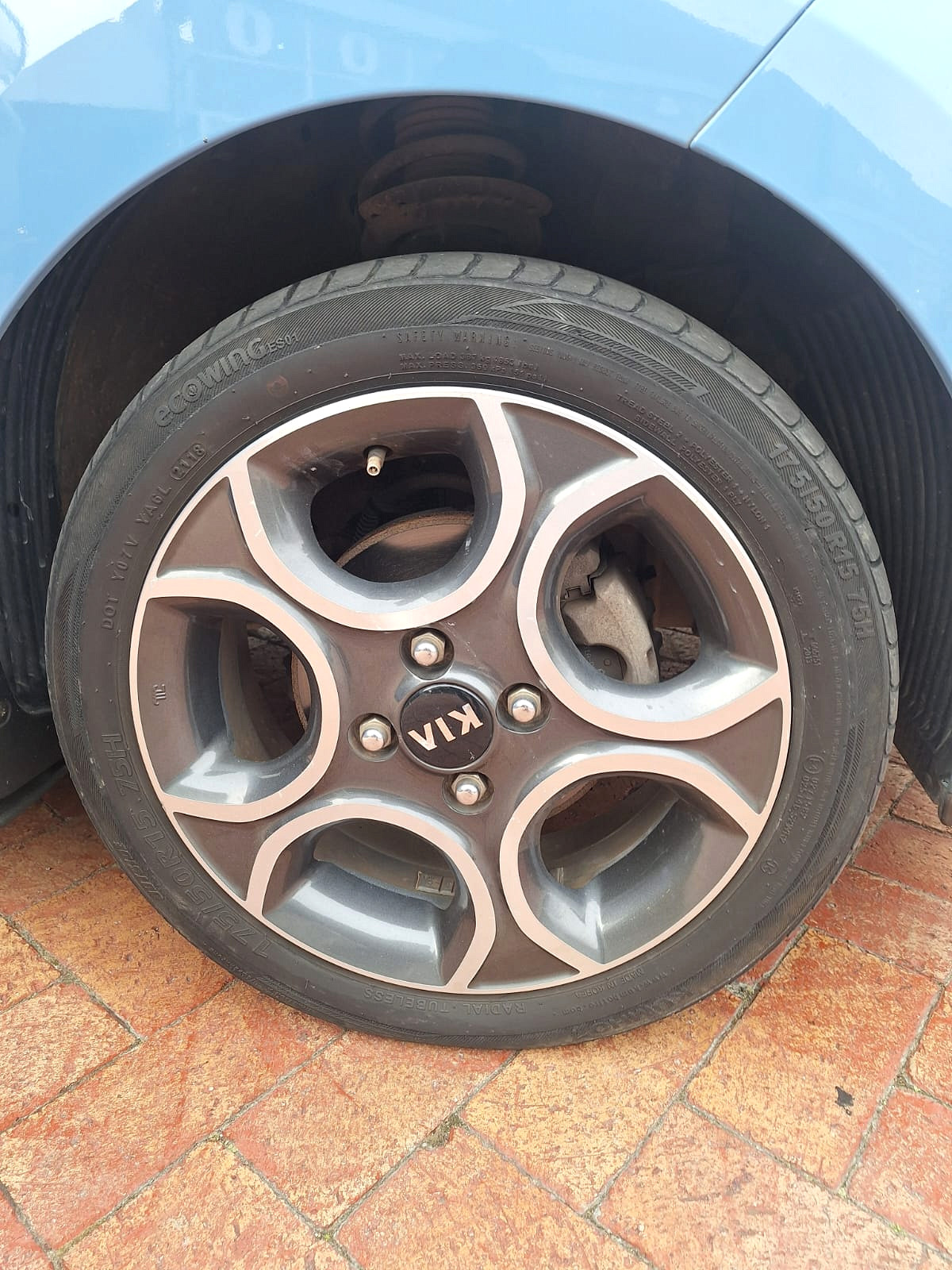 Photo 18 of 18