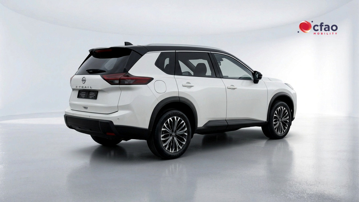 Photo 5 of 19