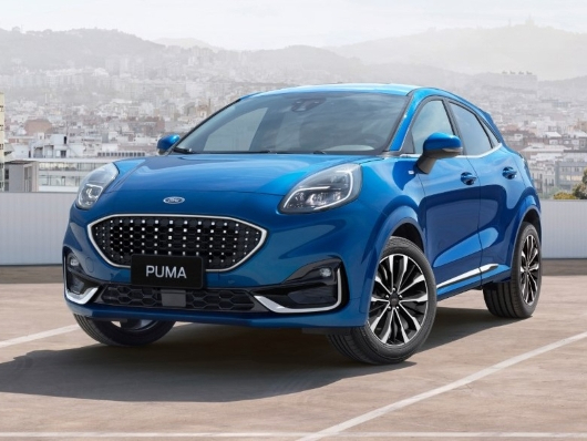 Puma Image