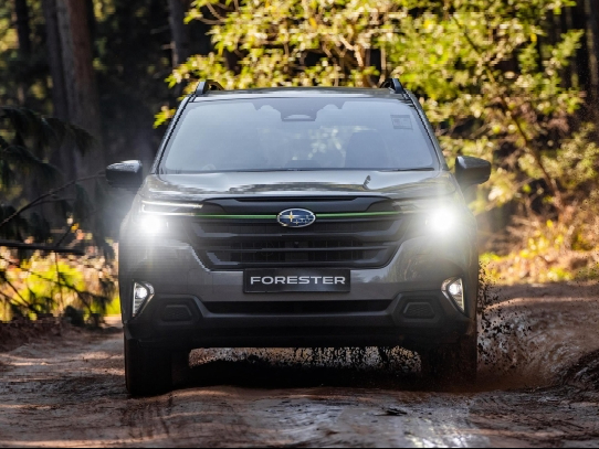 Forester Image
